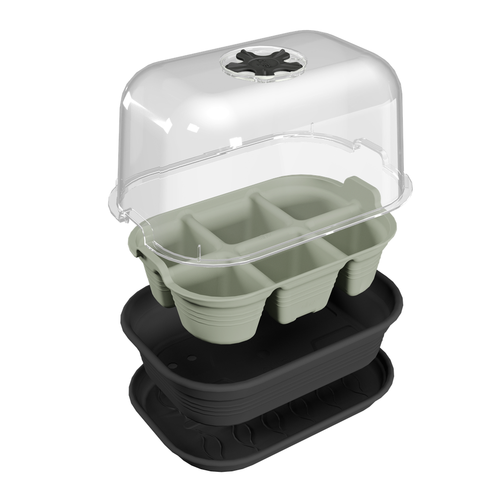 Green Basics Plateau De Semis 22