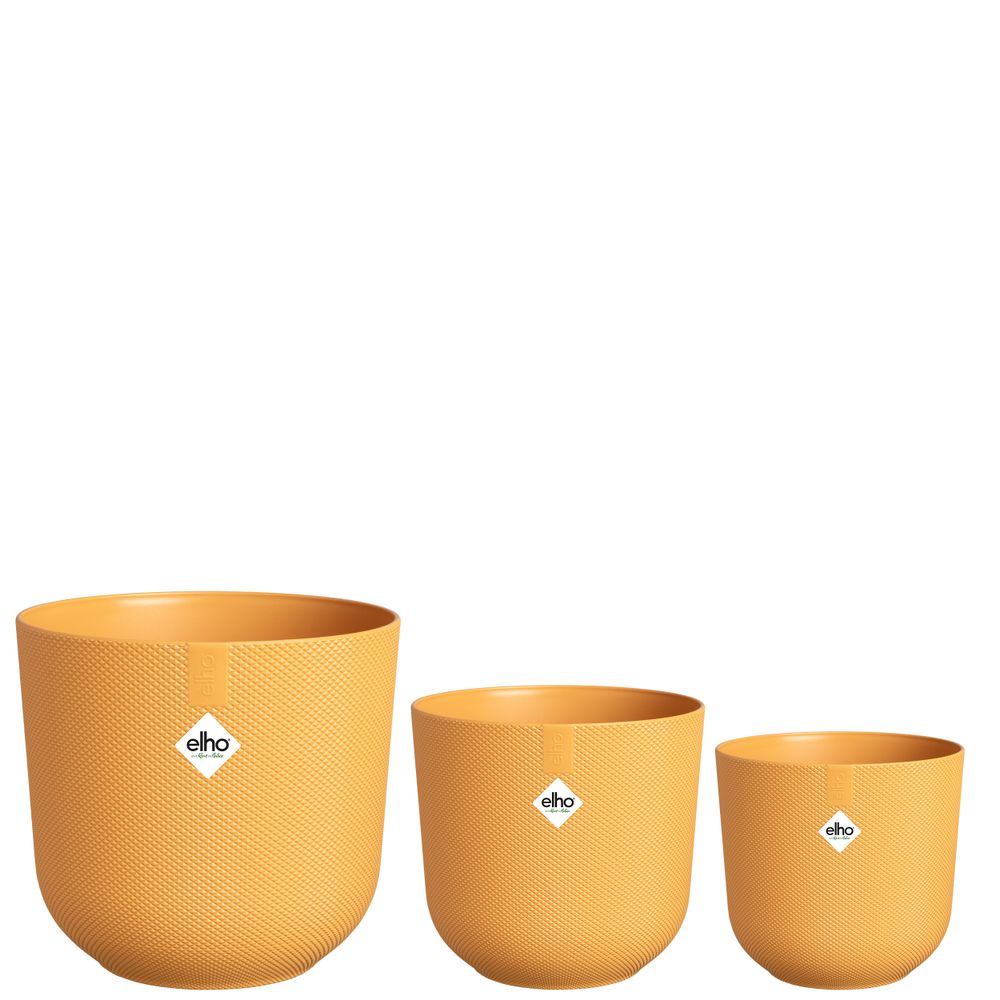 BNDL Jazz Rond 14,16,19