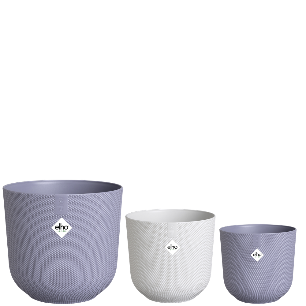 BNDL Jazz Rond 14,16,19