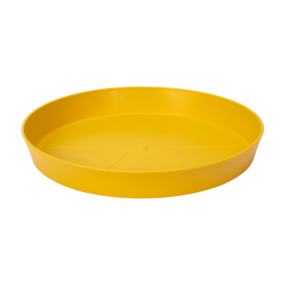 Loft Urban Soucoupe Ronde 17