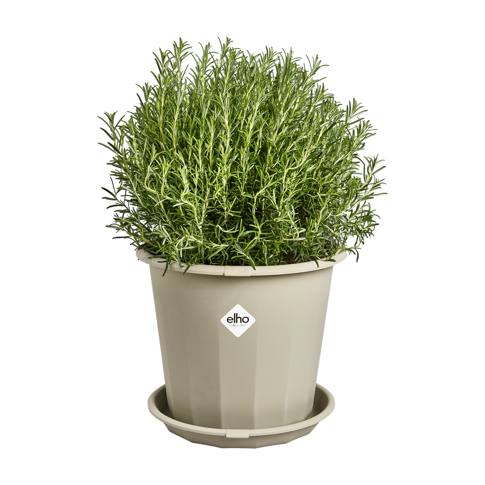 Niva Soucoupe Rond 35