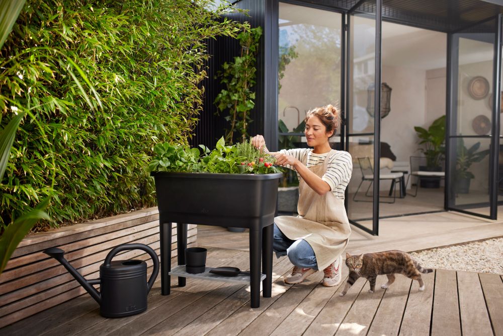 Noa Potager Sur Pied