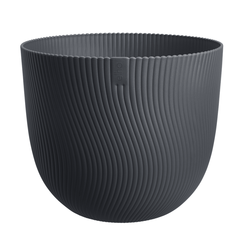 Sereh Rond 47