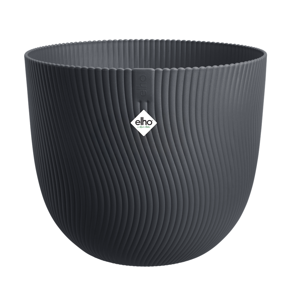 Sereh Rond 60