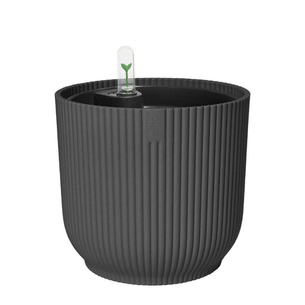 BNDL Vibes Fold Ronde 22+swi 21