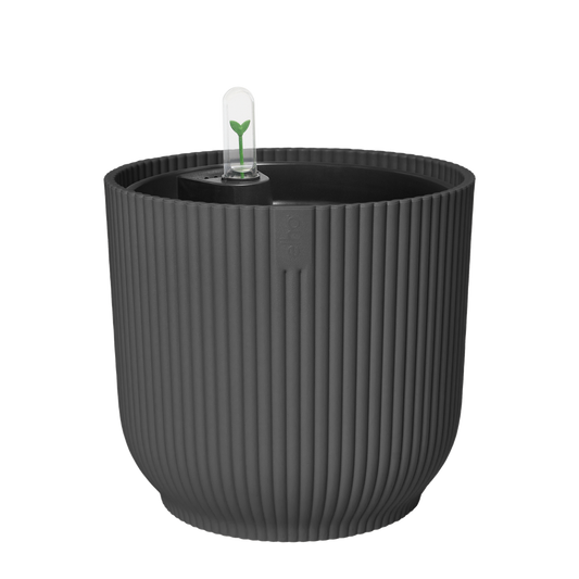 All-in-1 Vibes Rond 25 + Swi 24