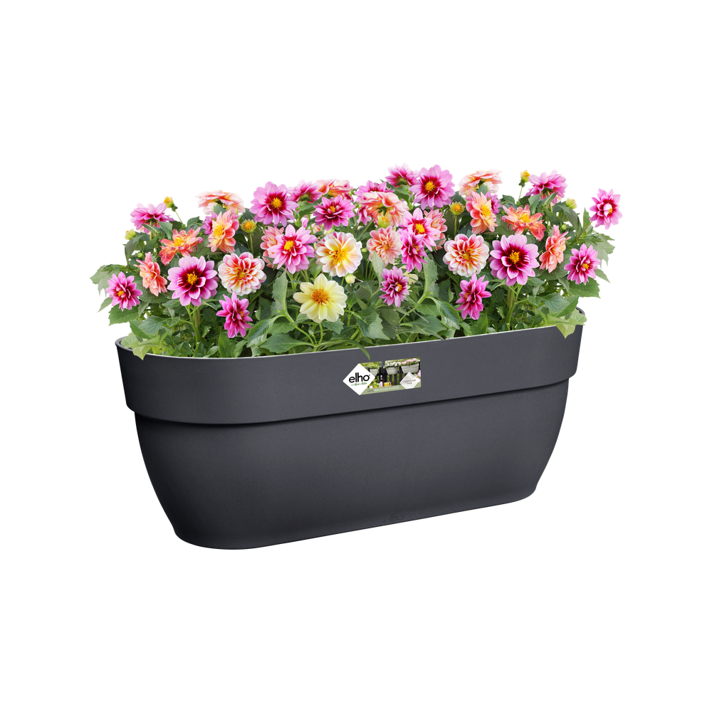 BNDL Vibia C. Easy Hanger L X 2