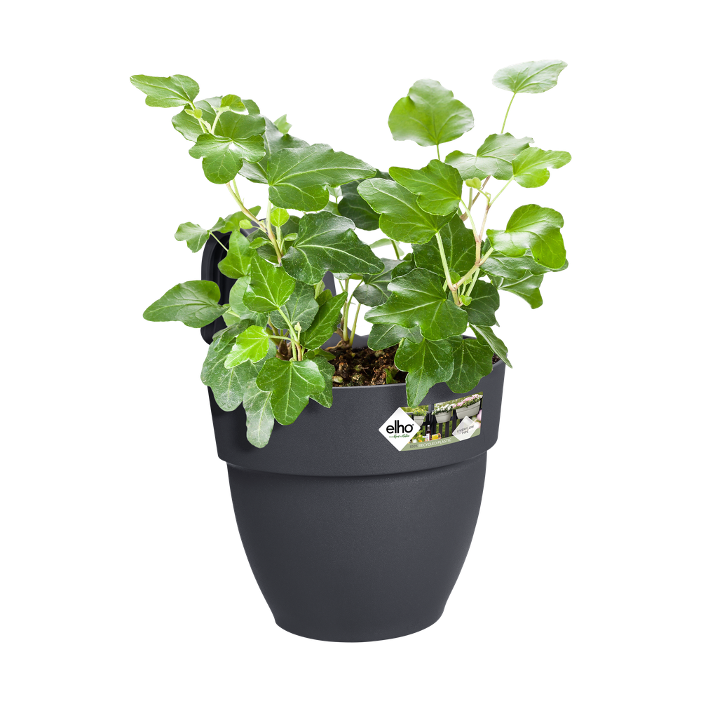 Vibia Campana Easy Hanger Small