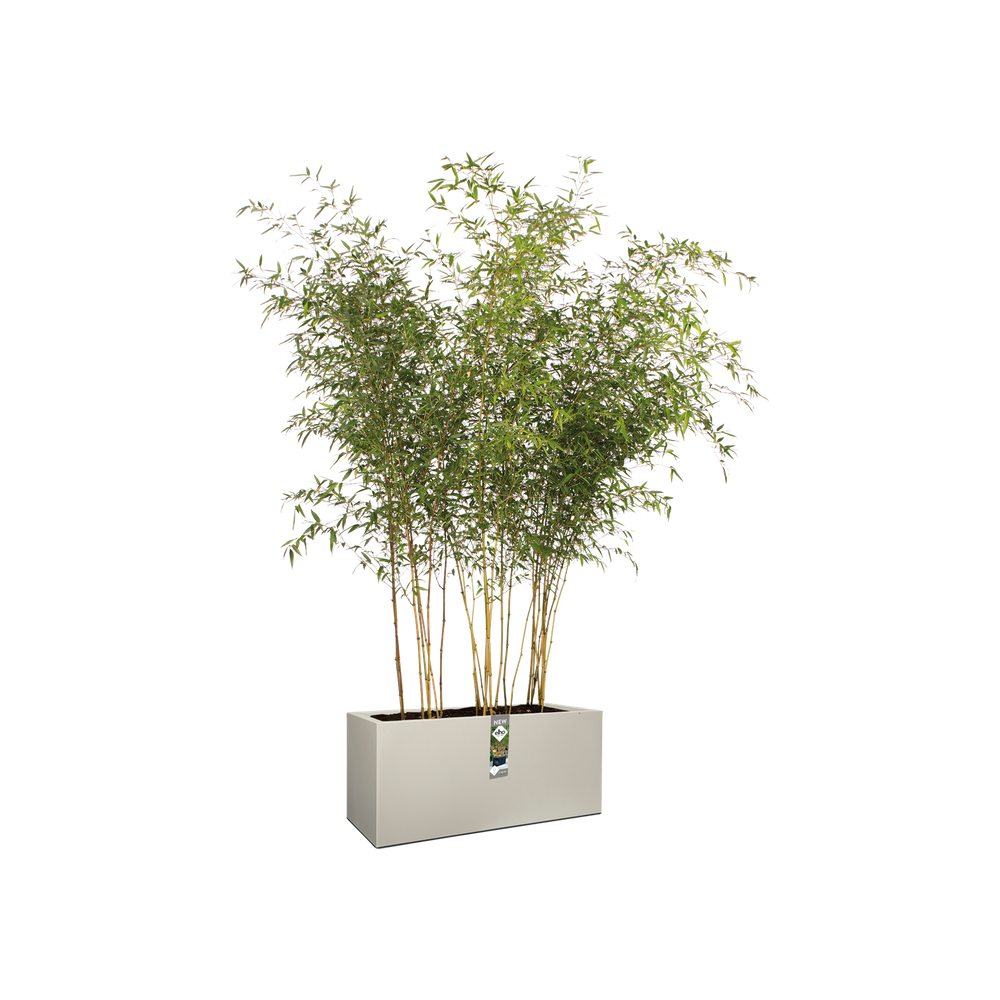 Vivo Mat Long Roues 90