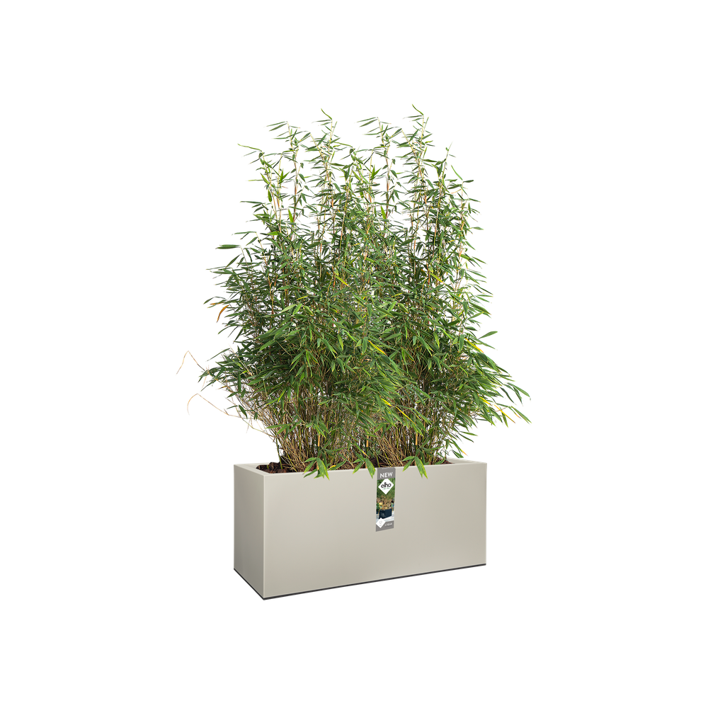 Vivo Mat Long Roues 90