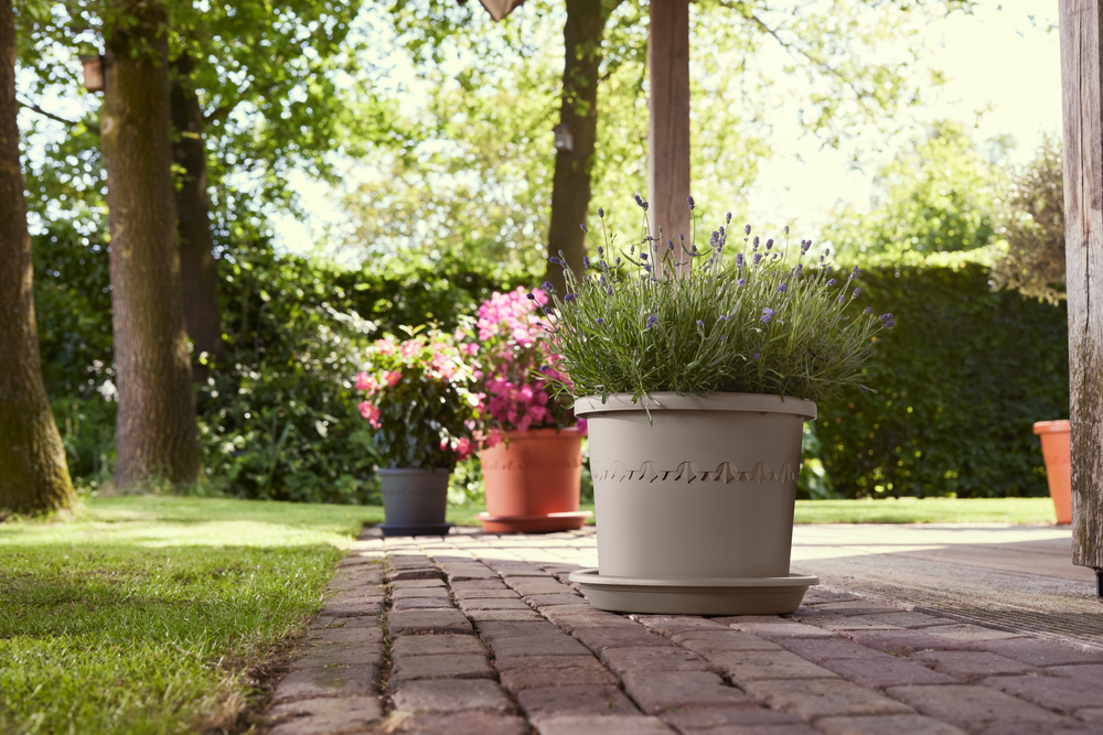 Algarve Cilindro 40