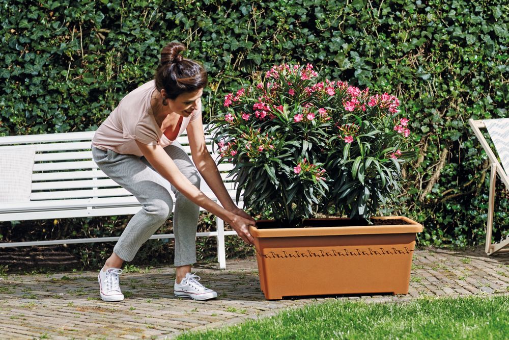 Algarve Terrasse Roues 80