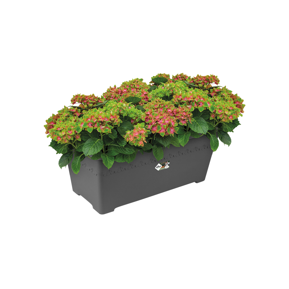 Algarve Terrasse Roues 80