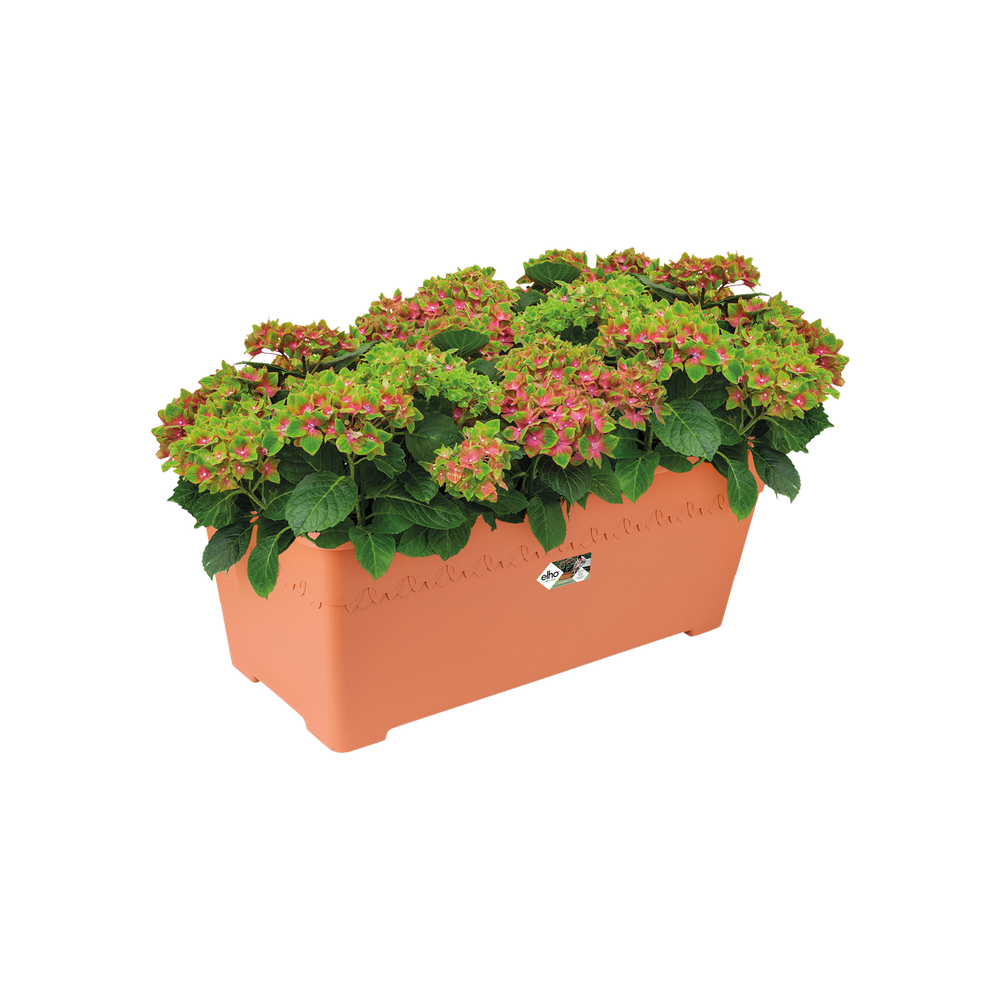 Algarve Terrasse Roues 80