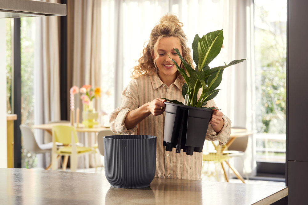 BNDL Vibes Fold Ronde 22+swi 21