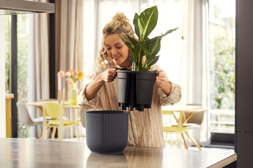 BNDL Vibes Fold Ronde 22+swi 21