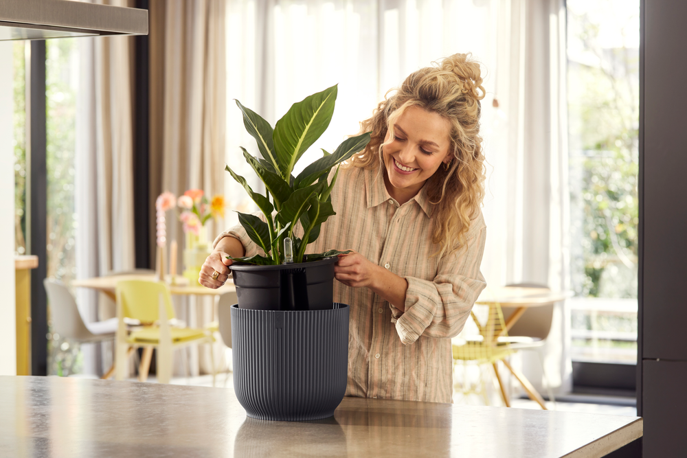 All-in-1 Vibes Rond 18 + Swi 17