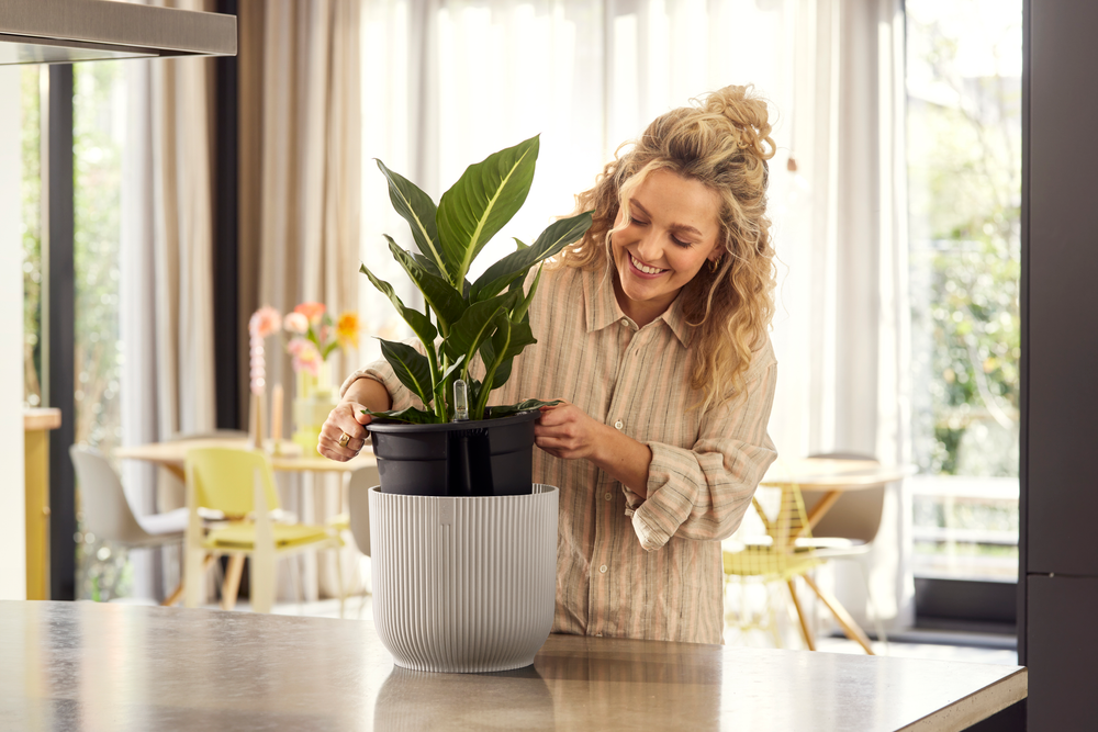 BNDL Vibes Fold Ronde 22+swi 21