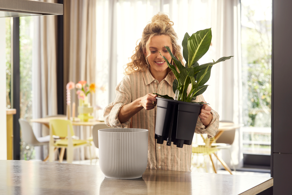 All-in-1 Vibes Rond 18 + Swi 17