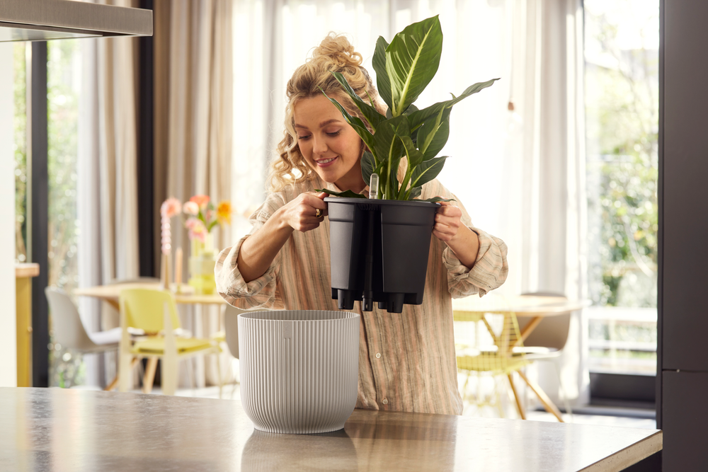 BNDL Vibes Fold Ronde 22+swi 21