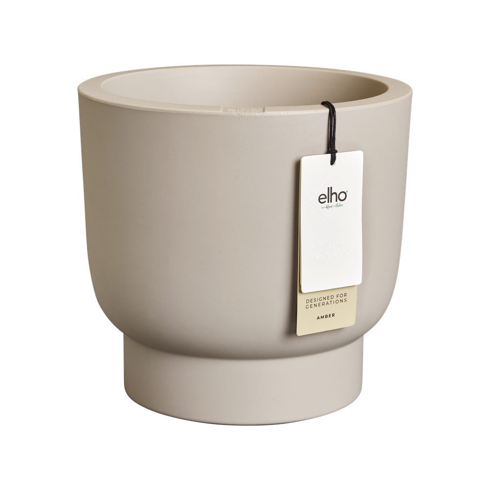 Amber Grail Box 30
