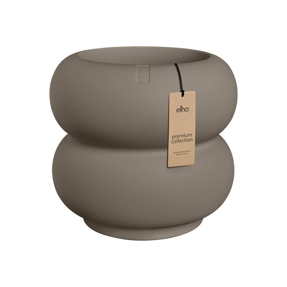 Amber Roll Low 43