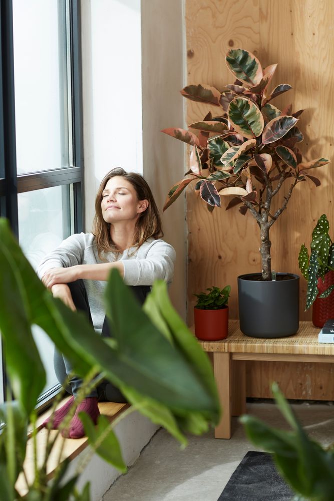 BNDL B.for Soft Ronde 14,16,18