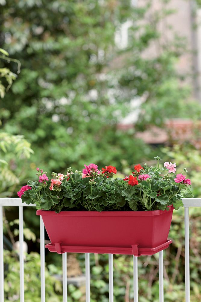 Barcelona Balconnière Soucoupe 40