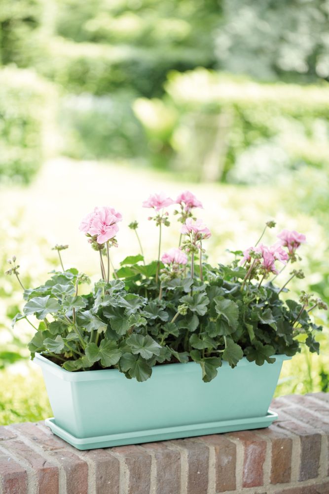 Barcelona Balconnière 50