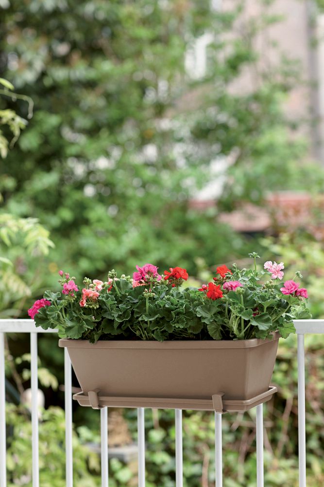 Barcelona Balconnière 40