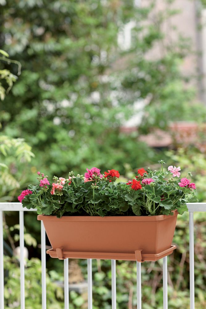 Barcelona Balconnière Soucoupe 40