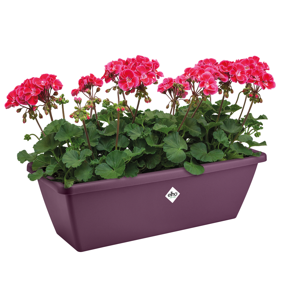 Barcelona Balconnière 70