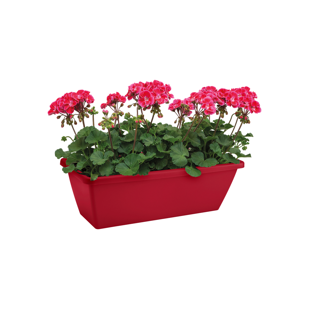 Barcelona Balconnière 50