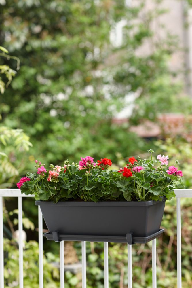 Barcelona Balconnière Soucoupe 40
