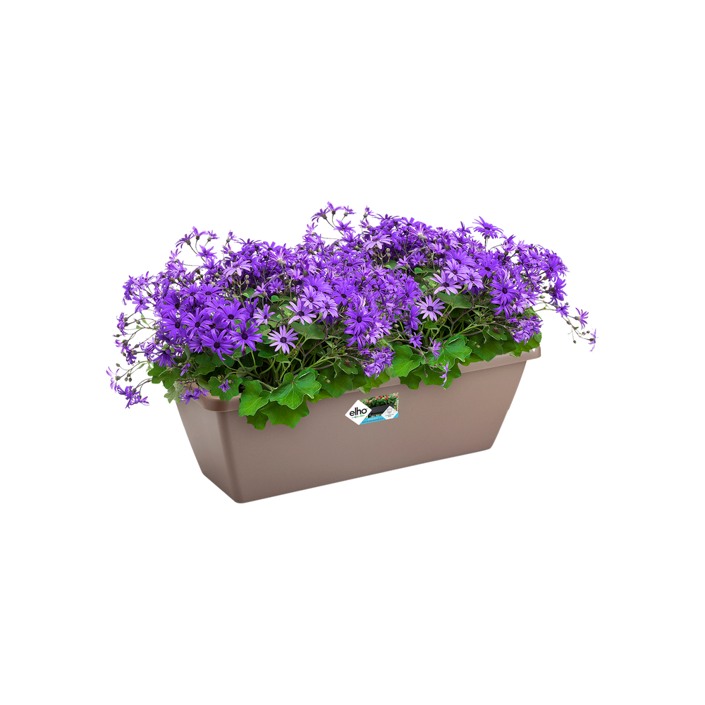 Barcelona Balconnière 40