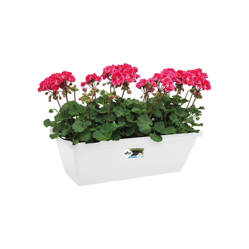 Barcelona Balconnière 70