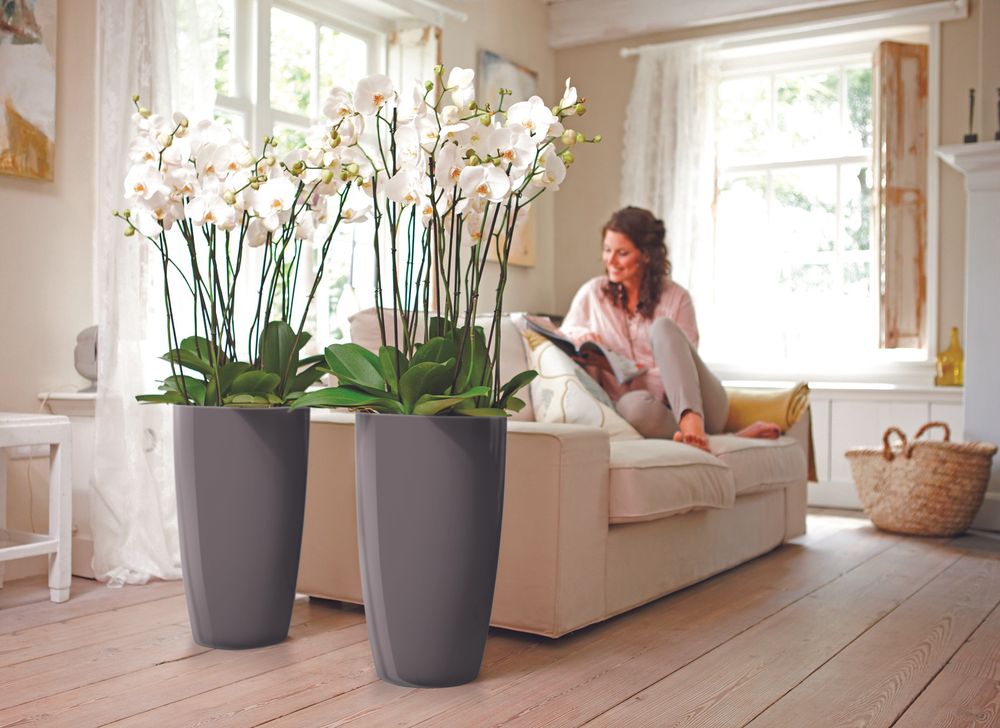 Brussels Diamond Rond Haut 32