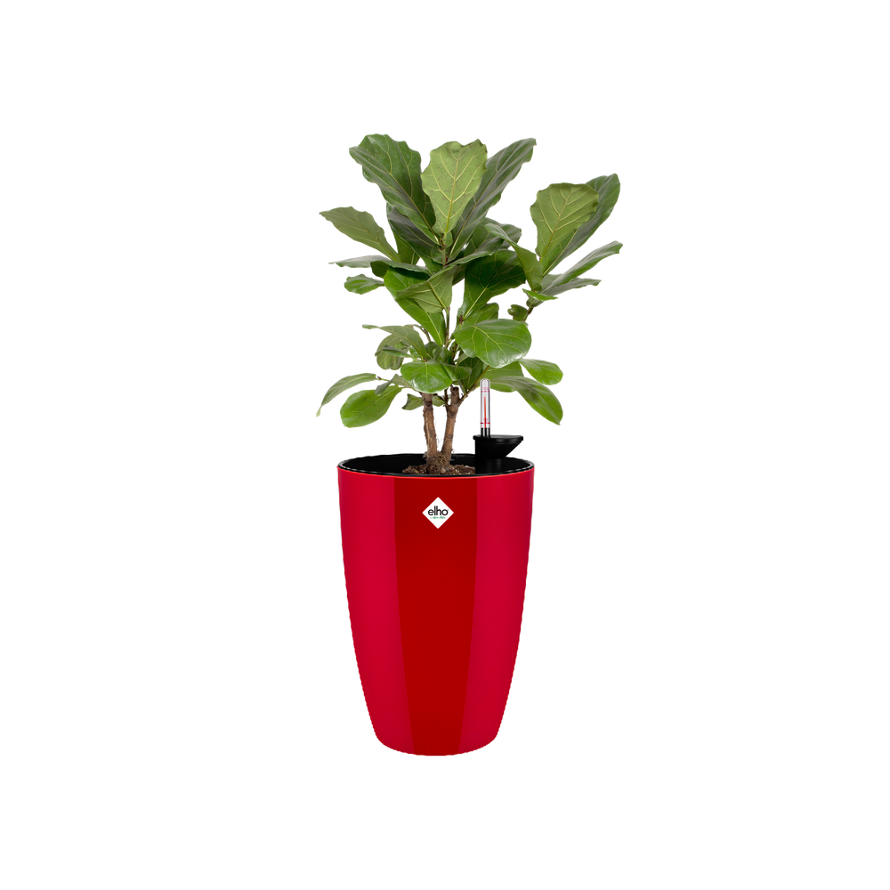 Brussels Diamond Rond Haut 32