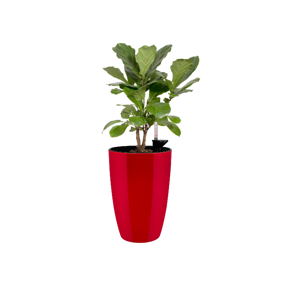 Brussels Diamond Rond Haut 32