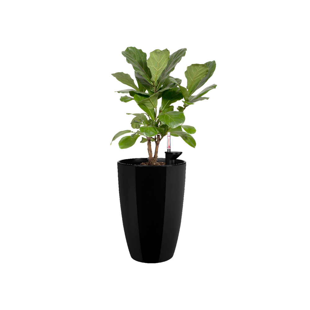 Brussels Diamond Rond Haut 32