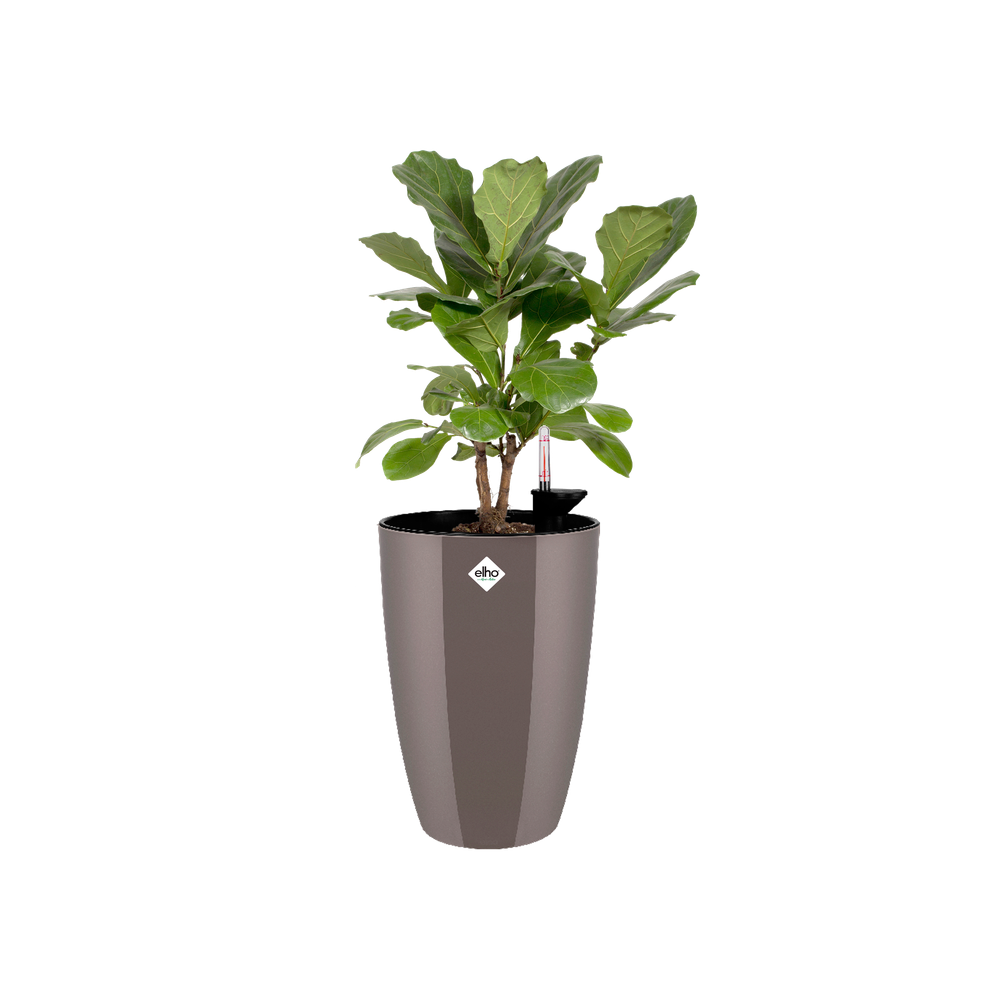 Brussels Diamond Rond Haut 32