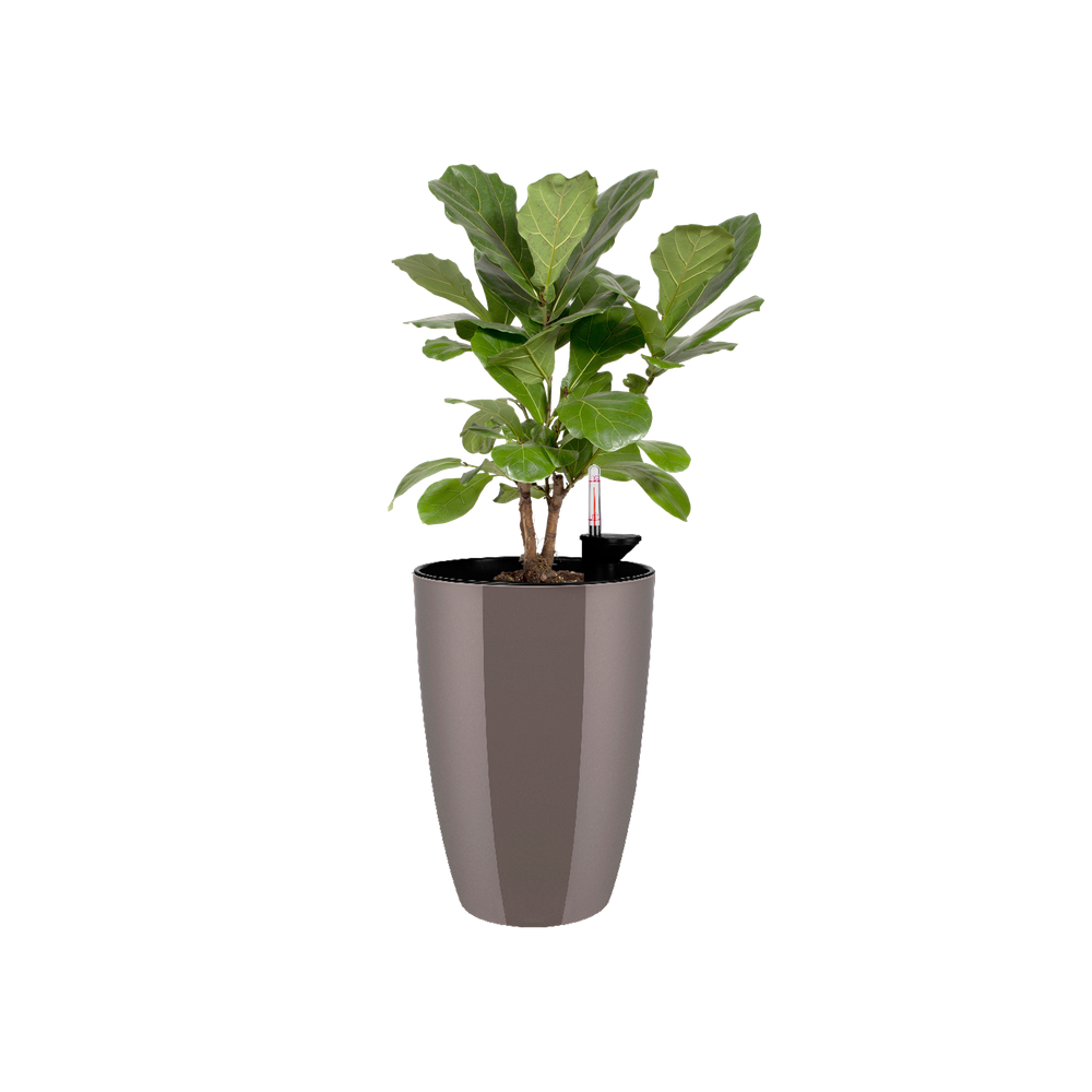 Brussels Diamond Rond Haut 32