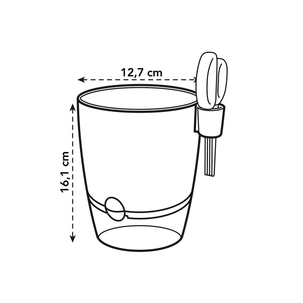 Brussels Herbes Allin1 13