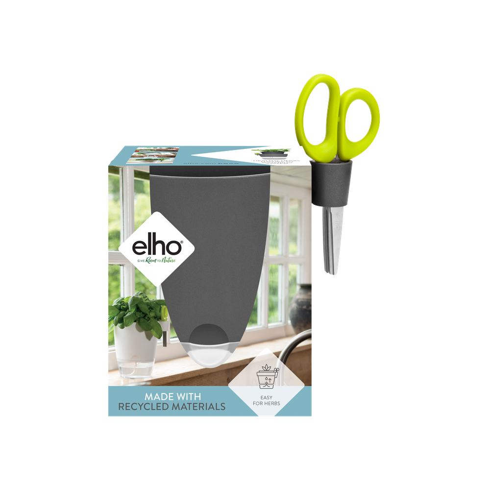 Brussels Herbes Allin1 13