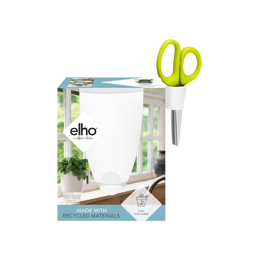 Brussels Herbes Allin1 13