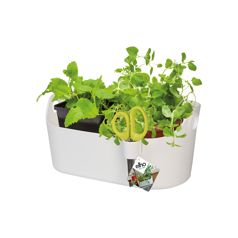 Brussels Herbes Station 30