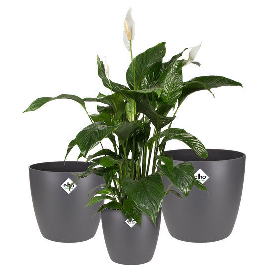 BNDL Brussels Rond 16,18,20