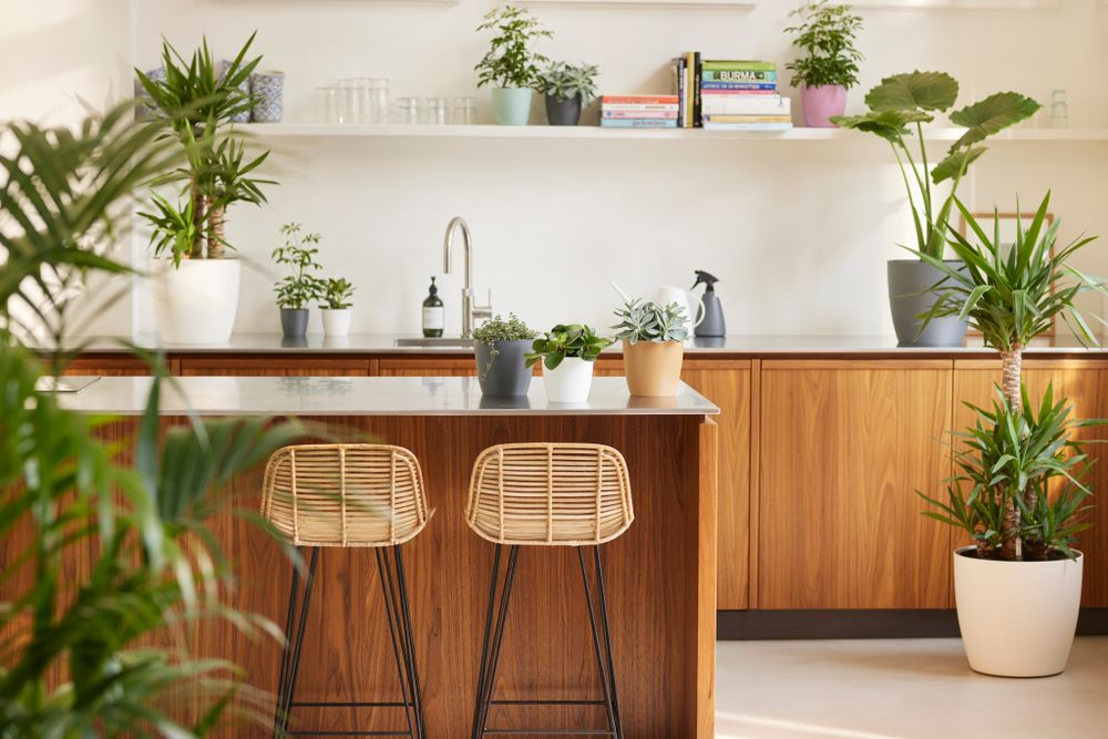 Brussels Rond Mini 12,5