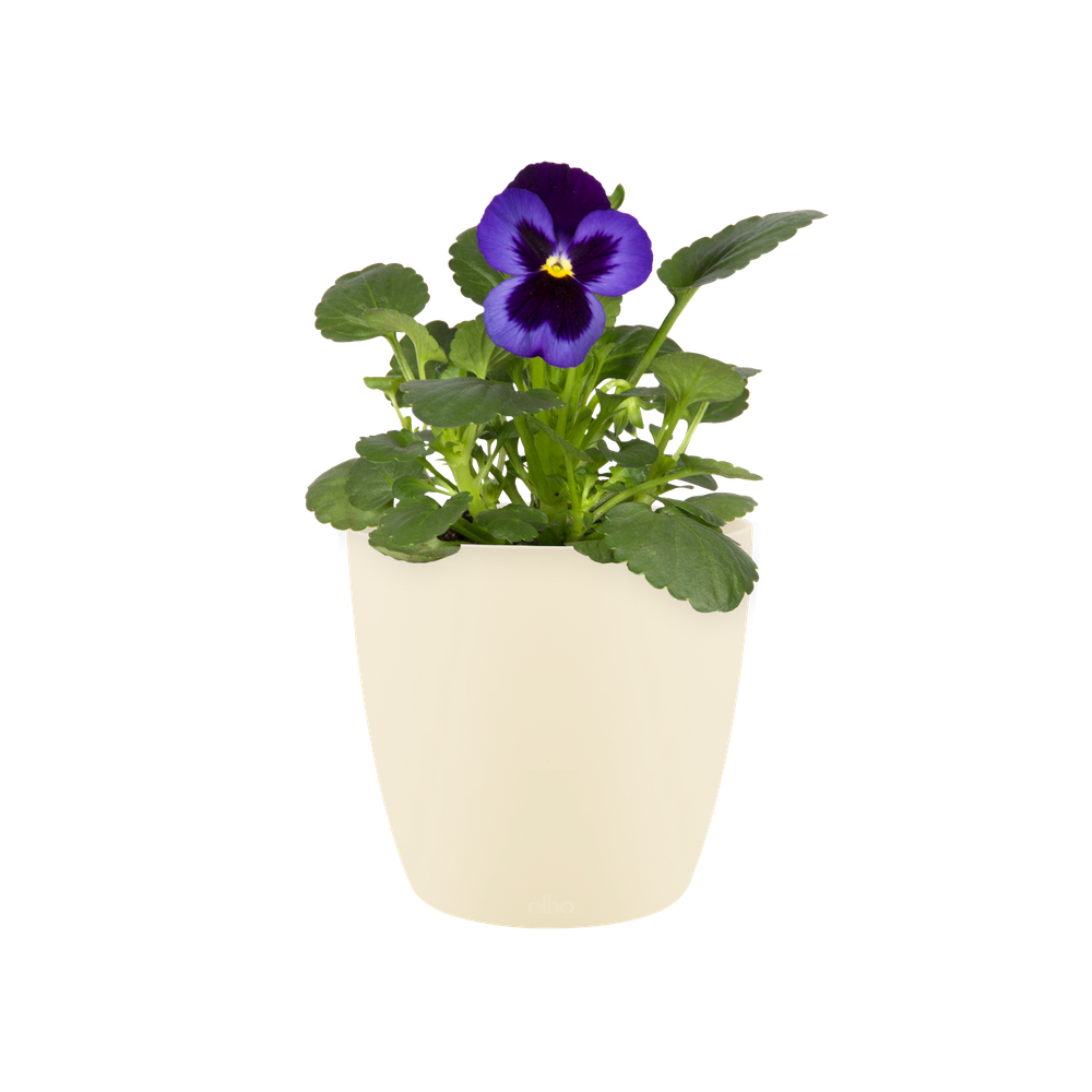 Brussels Rond Mini 10,5