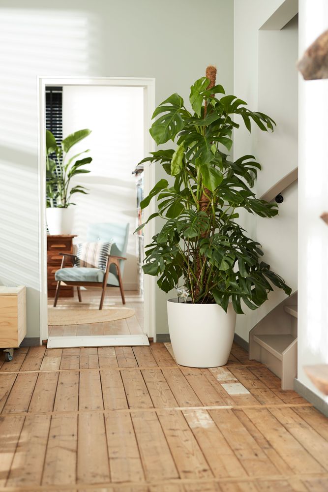 BNDL Brussels Rond Roues 35, 40